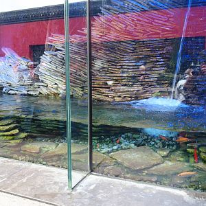 Part of the Chinese giant salamander exhibit, 2019-10-05