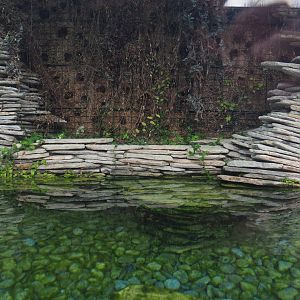 Part of the Chinese alligator exhibit, 2019-10-05