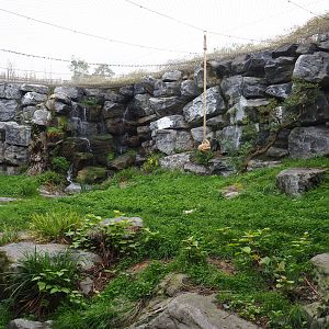 First snow leopard exhibit, 2019-10-05