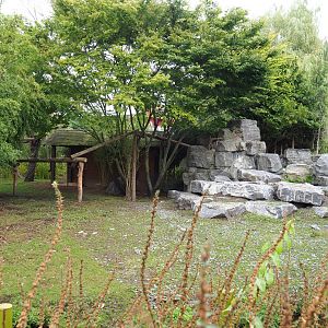 Bharal and Binturong exhibit, 2019-10-05