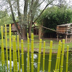 Bharal and Binturong exhibit, 2019-10-05