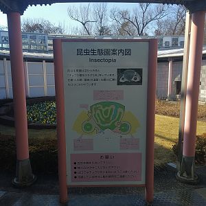 Insectopia Entrance Map