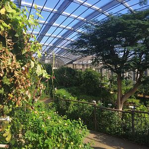 Butterfly Walkthrough