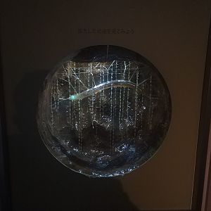 Glowworm Interpretation