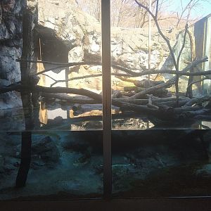 Otter Exhibit