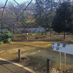 Stork, Crane & Heron Aviary