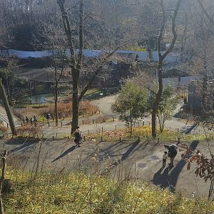 View Over Central Valley