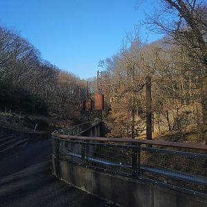 Orangutan Forest and Skyway