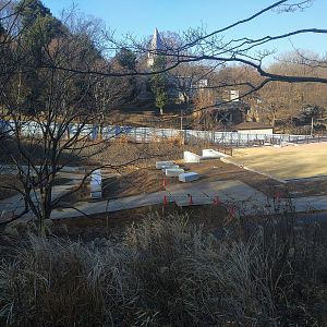 New Asian Elephant Exhibit