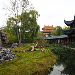 Japanese macaque exhibit, 2019-10-05