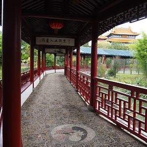The Middle Kingdom - Chinese covered corridor for viewing exhibits, 2019-10-05