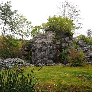 Japanese macaque exhibit, 2019-10-05
