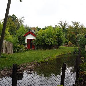 Hog deer and White-naped crane exhibit, 2019-10-05