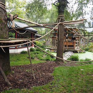 François' langur exhibit, 2019-10-05
