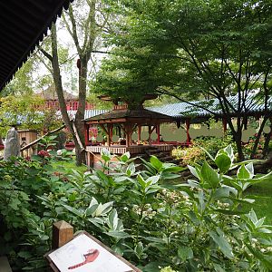 Red panda exhibit, 2019-10-05