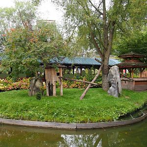 Red panda exhibit, 2019-10-05