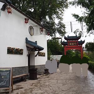 Southern yellow-cheeked gibbon house, 2019-10-05