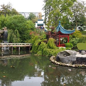The Middle Kingdom - View in the Chinese gardens, 2019-10-05