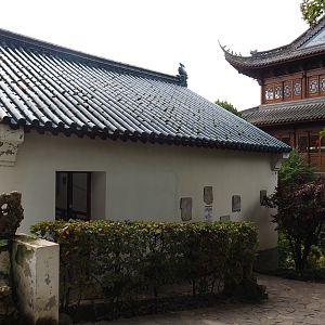 Southern yellow-cheeked gibbon exhibit, 2019-10-05