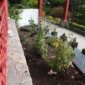 Giant otter exhibit, 2019-10-05