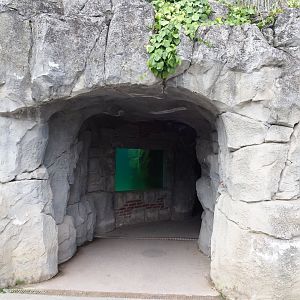 Cape fur seal underwater viewing cave, 2019-10-05