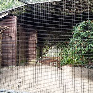 Ural owl aviary, 2019-10-05