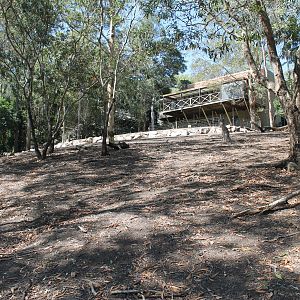 Kangaroo walk-through enclosure