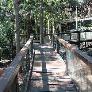 wombat and pademelon enclosures