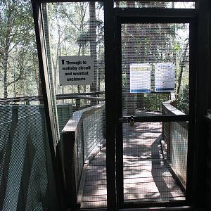 entry into the kangaroo walk-through enclosure