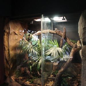 double reptile enclosure