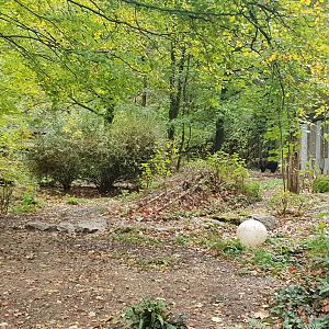 Brown Bear enclosure