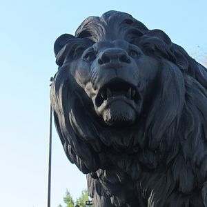 lion statue