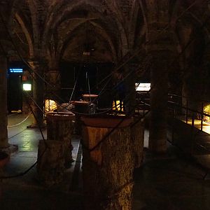 Egyptian fruit bat walk-through exhibit in the crypt, 2019-10-05