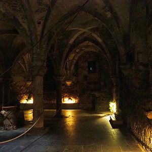 Egyptian fruit bat walk-through exhibit in the crypt, 2019-10-05