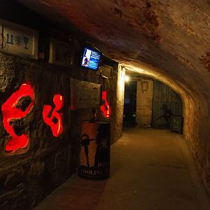 Naked mole-rat exhibit, 2019-10-05