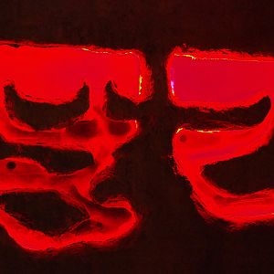 Naked mole-rat exhibit burrows, 2019-10-05