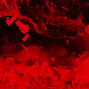 Naked mole-rat (Heterocephalus glaber) in burrow, 2019-10-05