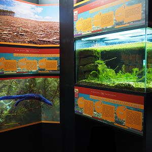 Amphibian room at the end of the crypt, 2019-10-05