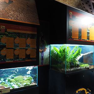 Amphibian room at the end of the crypt, 2019-10-05