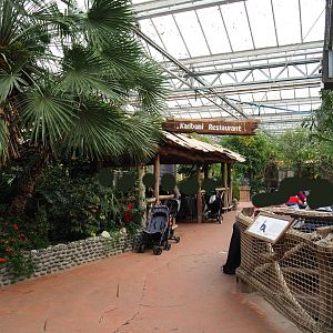 Restaurant in the Oasis, 2019-10-05
