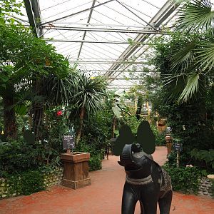 One of the main pathways in the Oasis, 2019-10-05