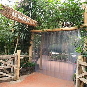 Access to the aracari walk-through aviary, 2019-10-05