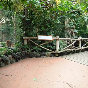 Aracari walk-through aviary, 2019-10-05