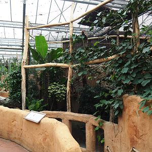 Northern Luzon rufous hornbill aviary, 2019-10-05