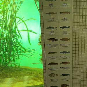 Tokyo Local Waters Signage