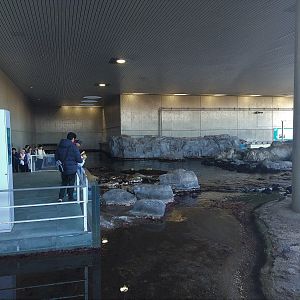 Seashore Exhibit