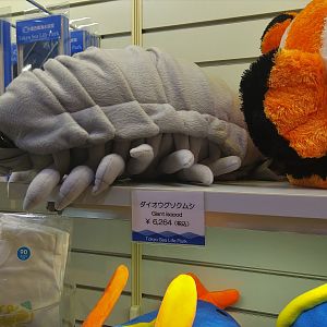 Giant Isopod Cuddly Toy
