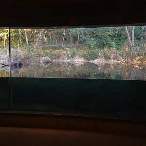 Japanese Pool Exhibit