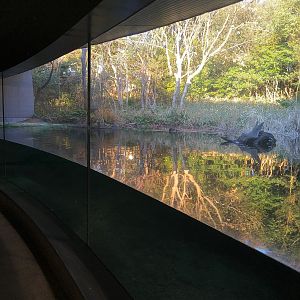 Japanese Pool Exhibit