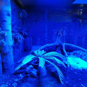 Inside of Kiwi house (Nov 2nd, 2019)